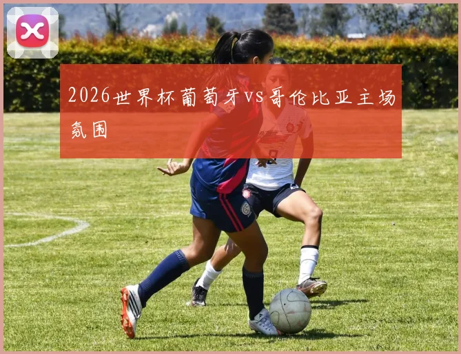 2026世界杯葡萄牙vs哥伦比亚主场氛围