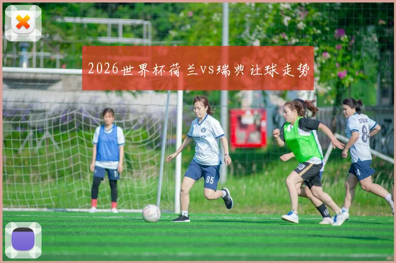 2026世界杯荷兰vs瑞典让球走势