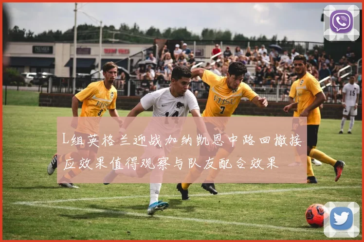 L组英格兰迎战加纳凯恩中路回撤接应效果值得观察与队友配合效果