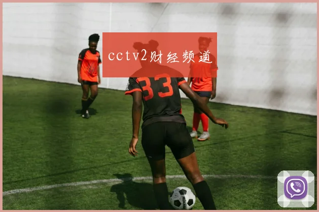cctv2财经频道