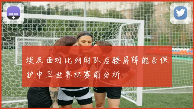 埃及面对比利时队后腰屏障能否保护中卫世界杯赛前分析